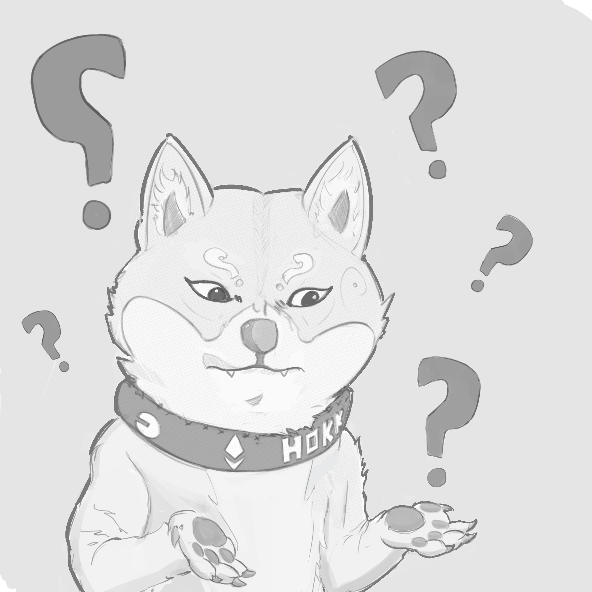 HOKK confused and curious