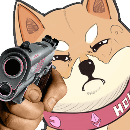 HOKK pointing gun