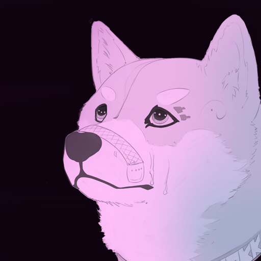 Noble HOKK portrait