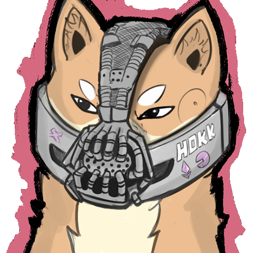 HOKK Bane mask